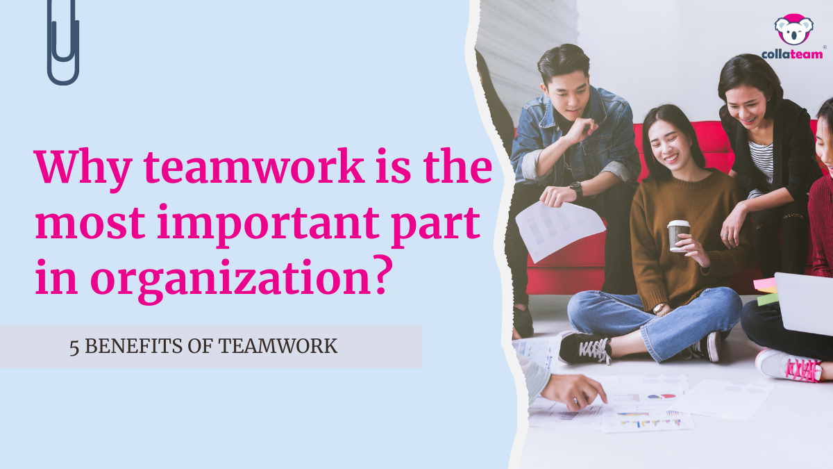 Why teamwork is the most important part in organization?